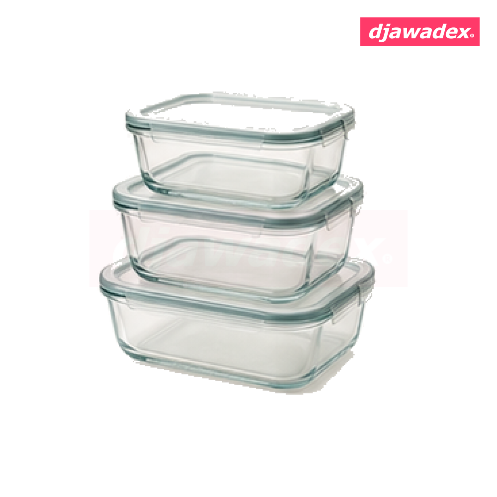 Ensemble de boîtes de conservation en verre